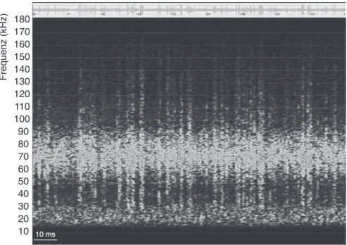 Fig. 1.5   Sonagram of noise produced by a wind turbine that can potentially mask bat calls Abb