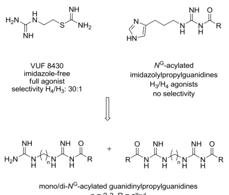 Figure 4.2 Replacement of the imidazole-ring by guanidine and N G -acylated guanidine groups