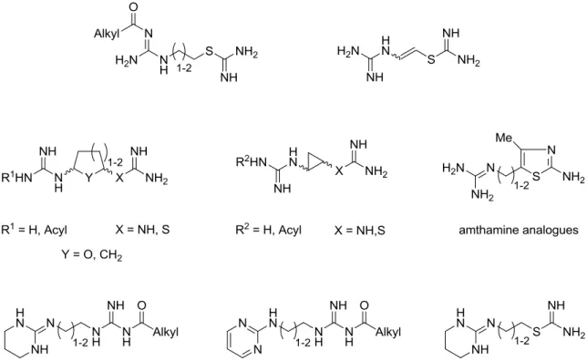 Figure 4.3 Suggestions of future structural variations H 4 R ligands derived from VUF 8430