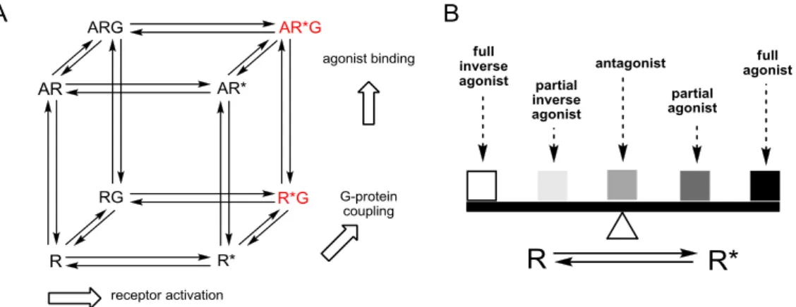 Figure 1.1 A. Two-state cubic ternary complex model of GPCR activation (R: inactive state of the receptor, R*: 