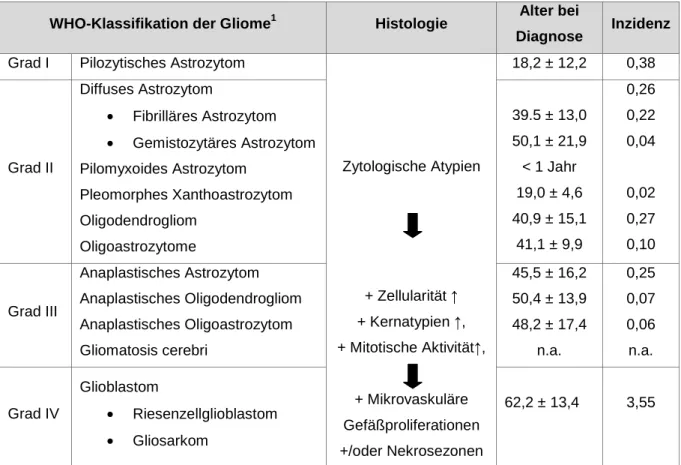 Tabelle  1: Dargestellt ist die WHO-Klassifikation  der  Gliome,  die entsprechende Histologie,  das Alter  bei Diagnosestellung sowie die zugehörigen Inzidenzen