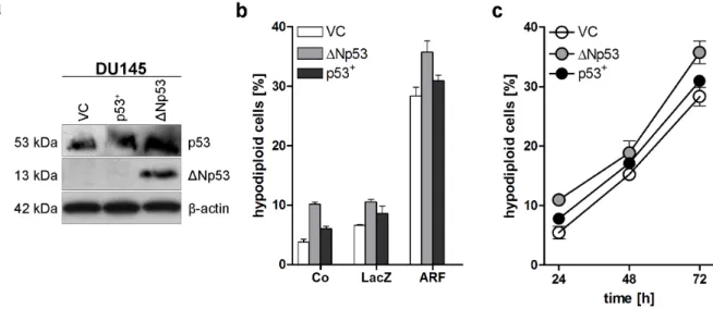 Figure 10. p53-family independent induction of apoptosis by p14 ARF  in DU145 cell lines