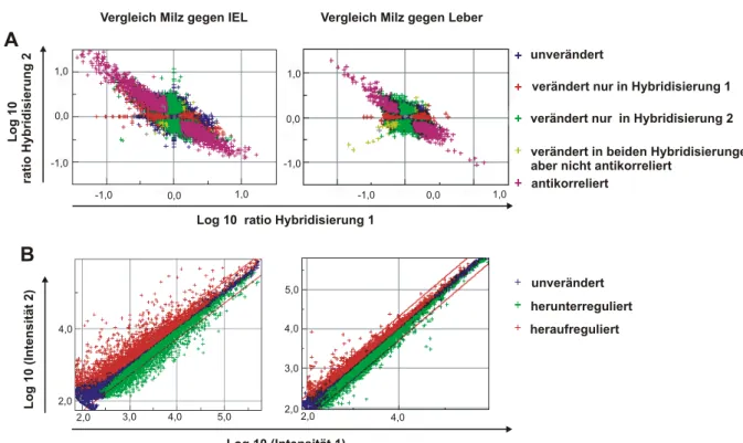 Abbildung 2: Korrelation der ratio Profile nach Farbtausch und Intensitätsplot nach Verrechnung der  zwei unabhängigen Hybridisierungen gegensätzlich Cy5 und Cy3 markierter RNA