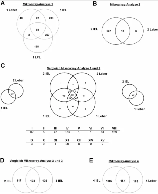 Abbildung 3: Venn-Diagramme der Mikroarray-Analyse von CD8 +  T-Zellen aus Milz, Leber, IEL und  LPL