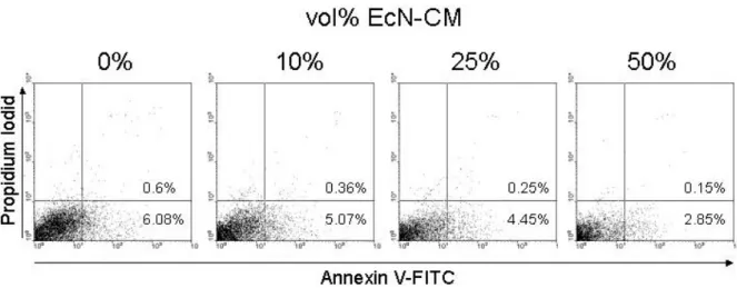 Abb. 6: Einfluss unterschiedlicher Konzentrationen von EcN-CM auf die Apoptoserate von  CD3-stimulierten PBT im Annexin V-FACS
