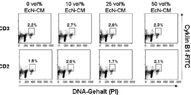 Abb. 10: Expression von Cyklin B1 (Y-Achse) im Verlauf des Zellzyklus (DNA-Gehalt, X-Achse)  in LPT