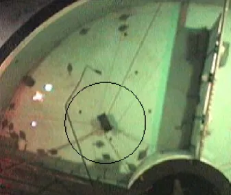Fig. 22:  Tank quarter 4: Circle marks the area around loudspeaker 2 that was used for the  loudspeaker vicinity evaluation