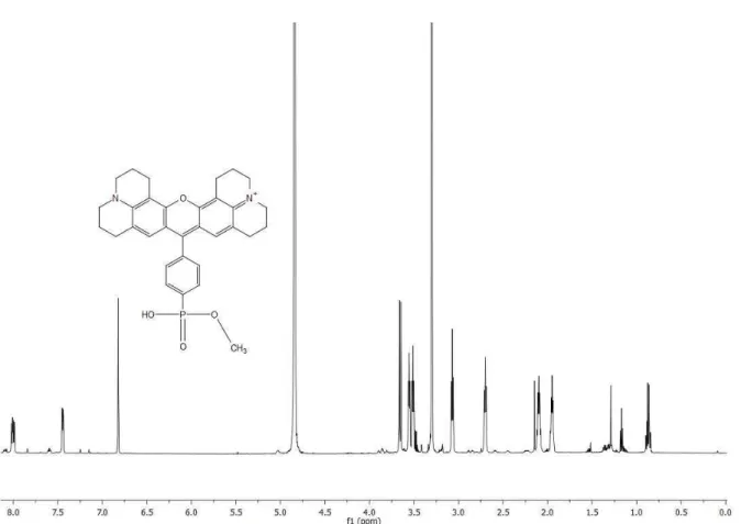 Figure 6.  1 H NMR (600 MHz, MeOD): Phos-TexasRed dye (10). 