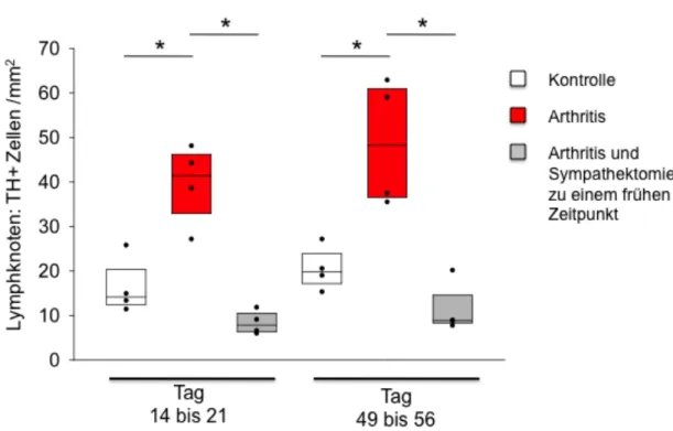Abb. 4: Mittlere Dichte Tyrosinhydroxylase-positiver (TH+) Zellen in Lymphknoten von Mäu- Mäu-sen  mit  induzierter  Arthritis  (rot)  im  Vergleich  zu  früh  sympathektomierten  arthritischen  Mäusen (grau), und im Vergleich zur Kontrollgruppe (weiß)