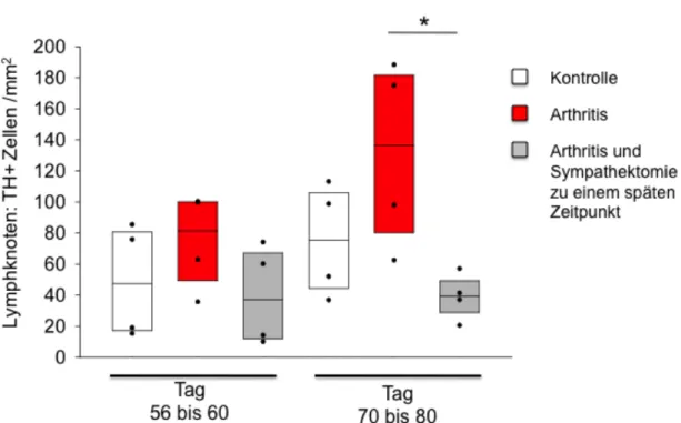 Abb. 8: Mittlere Dichte Tyrosinhydroxylase-positiver (TH+) Zellen in Lymphknoten von Mäu- Mäu-sen  mit  induzierter  Arthritis  (rot)  im  Vergleich  zu  spät  sympathektomierten  arthritischen  Mäusen (grau), und im Vergleich zur Kontrollgruppe (weiß)