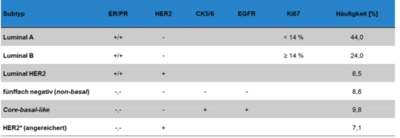 Tabelle  2:  Mammakarzinom-Subtypen  nach  Estrogenrezeptor-,  Progesteronrezeptor-,  HER2-,  CK5/6-,  EGFR- und Ki67-Status, Häufigkeitswerte basierend auf Kennecke et al., 2010 