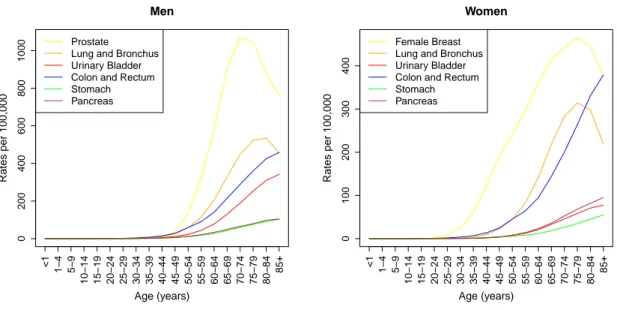 Figure 1.1: Age specific cancer incidence rates. The incidence of cancer grows steeply with increasing patient age