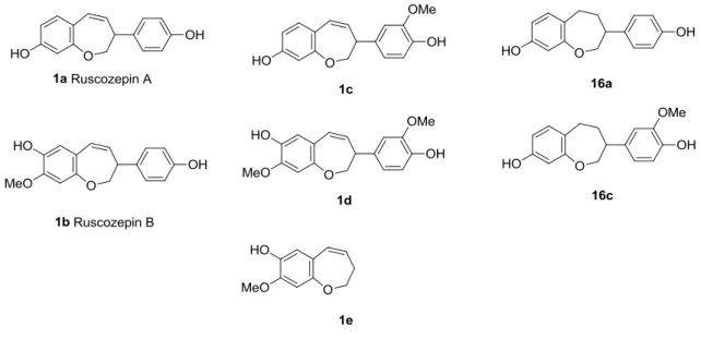 Figure 3.4. Synthesized compounds. 