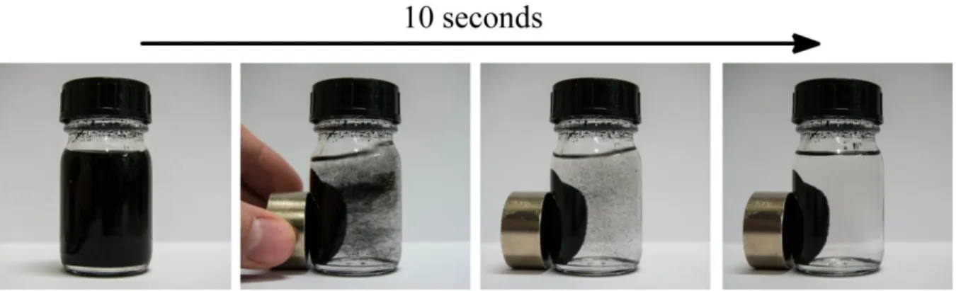 Figure 2. Rapid magnetic recovery of polymer-coated nanobeads from a CH 2 Cl 2  solution
