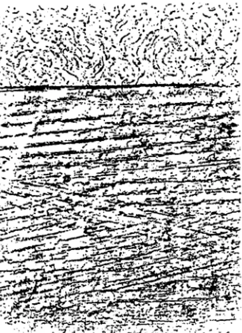 Abb. 6 Max Ernst, „Für Kleist,  Brentano, Arnim, ,Caspar David  Friedrich. Seelandschaft mit  Ka-puziner' &#34;, Illustration zum Text  1972 