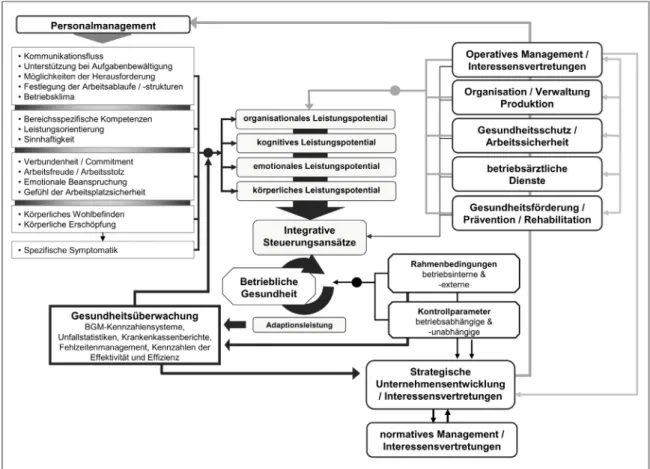 Abbildung 6: Betriebliche Gesundheit als Gestaltungsprozess (Missal, 2006) 