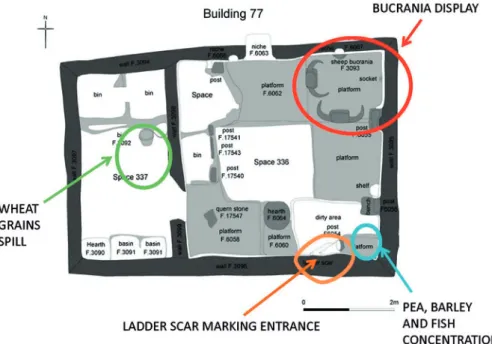 Fig. 3 Locations of plant food concentrations, ladder scar, and bucranium display in Building 77