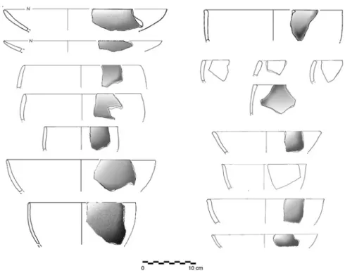 Fig. 6 Examples of Dark-Faced Burnished vessels from Yumuktepe.