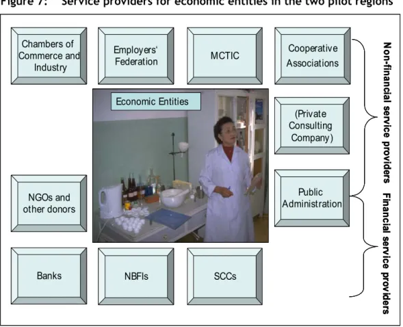 Figure 7:  Service providers for economic entities in the two pilot regions 