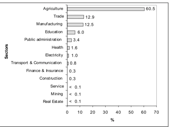 Figure 6:  Composition of the GDP in Selenge aimag, 2000 53