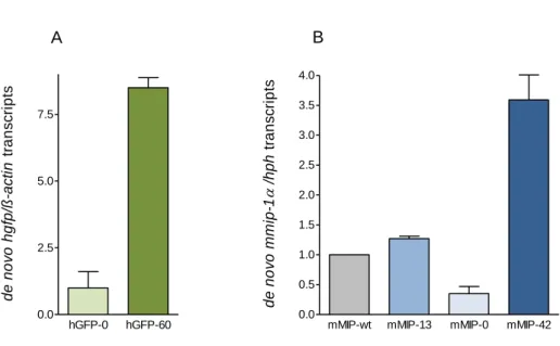 Figure 8 I Influence of CpG content on the de novo synthesis of  hgfp (A)  and mmip-1α (B) transcripts