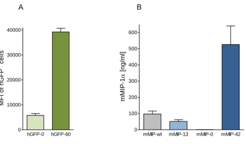 Figure  9  I  Expression  analyses  of  stably  transfected  CpG  variants  hgfp  and  mmip-1α