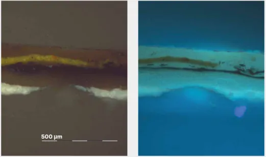 Abb. 1.9 Mikroskopaufnahme, Dunkelfeld und UV-Fluoreszenzaufnahme an einem Anschliff  (Malschichtprobe Haar DH6, vgl