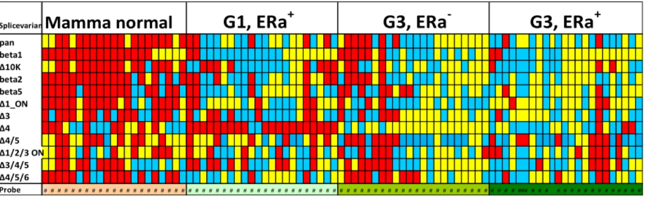 Abbildung  6:  Probenprofil,  rot=  starke  Expression,  blau=  mittlere  Expression,  gelb=  schwa- schwa-che/keine Expression 
