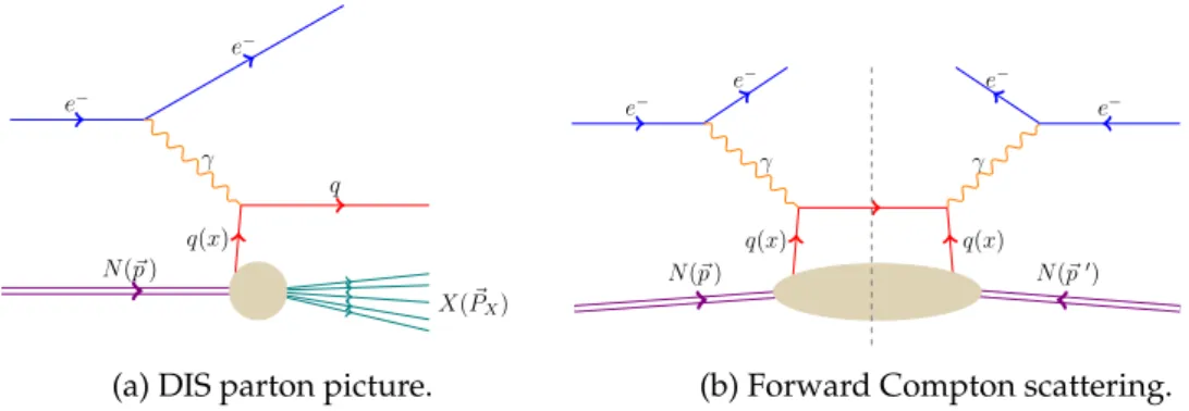 Figure 2.4.: Deep inelastic scattering in the parton picture to emphasize the similarity to DVCS.