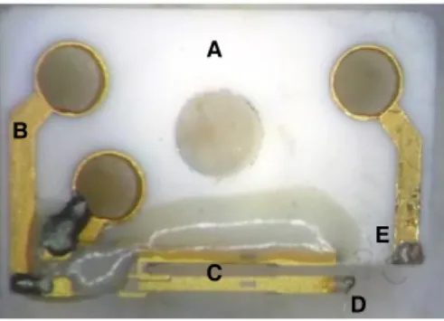 Abbildung 3.8: Der qPlus-Sensor. A) Keramiksubstrat. B) Vergoldete Leiterbahn. C) Quarzstimmgabel