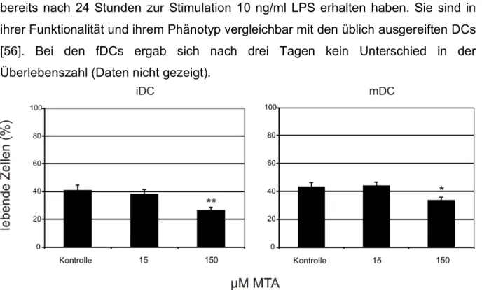 Abb. 3: Zellausbeute von DCs nach Kultivierung mit MTA.  