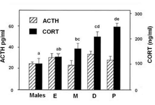 Figure 10.  ACTH and CORT daily average levels in male rats and across the estrous cycle 