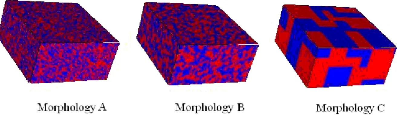 Fig. 4.2 Morphologies, obtained by treating the phase separation process of a mixture of D/A  polymers with Ising spin model by using Kawasaki dynamics