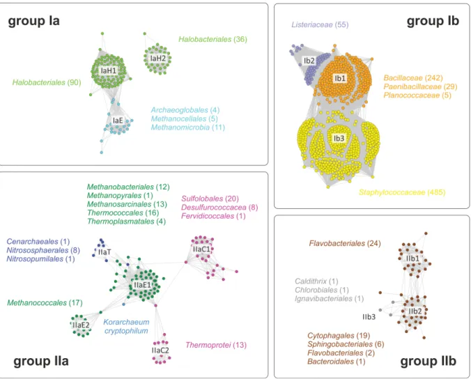 Figure 7: Taxonomic details of the main clusters in the sequence similarity network  