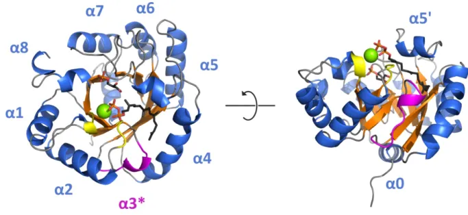 Figure 10: Structural features of the group II GGGPS-like enzyme  from  F. johnsoniae  with  bound ligands