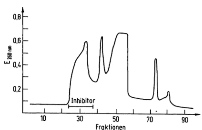 Abb. 2. Säulenchromatographische Trennung des Oxidoreductase- Oxidoreductase-Inhibitors: DEAE-Cellulose, äquilibriert mit 10 mmol/1.