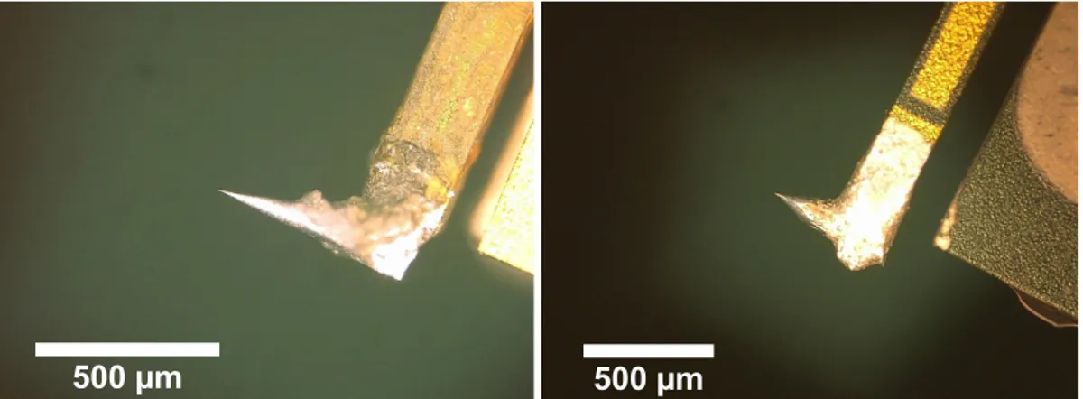 Figure 4.2.: Optical microscopy images of two electrochemically etched Fe tips, which were attached to the prong after the etching process.