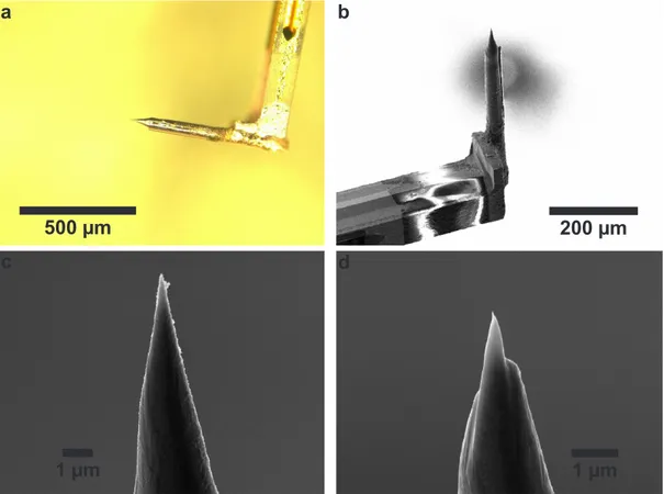 Figure 4.3.: a, optical microscopy image of an electrochemically etched Fe tip, where the tip was directly etched from the prong