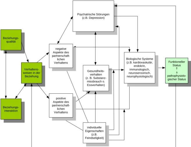 Abbildung 2: Modell einer Interaktion zwischen Beziehungsfunktionen, biologischen Syste- Syste-men und physischer Gesundheit (nach KIECOLT-GLASER et al