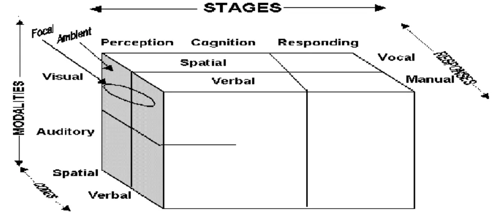 Figure 2.2. Multiple Resource Model (MRM) by Wickens (2002), modified version.  