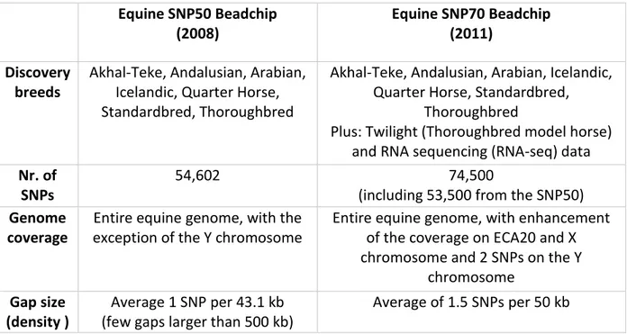 Table 1.3. Characterizations of Equine SNP50 and SNP70 BeadChips (Illumina)  Equine SNP50 Beadchip  (2008)  Equine SNP70 Beadchip (2011)  Discovery  breeds 