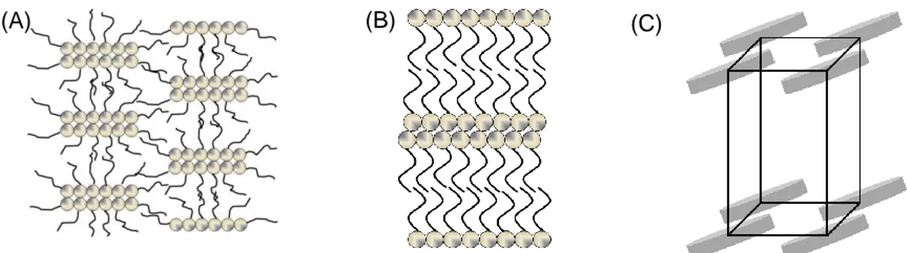 Figure 2-11. Possible arrangements of surfactant molecules in thermotropic liquid crystalline phases