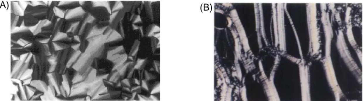 Figure 2-19. Polarizing optical microscopy images with crossed polarizers show a possible texture of  a hexagonal phase 63  (A) and the oily streaky texture of a lamellar phase 12  (B) (100x magnification)