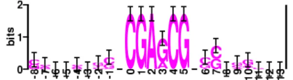 Figure 2.3: A sequence logo [Schneider and Stephens, 1990] of the significant pattern CGARCG found in promoters of human genes regulated via H-Ras.