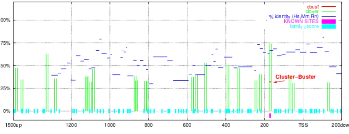 Figure 3.1: Predictions of AP-1 binding sites in upstream sequence of gene Hs.511899 (EDN1, endothelin 1)