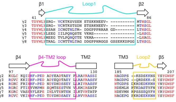 Figure  5.  Sequence  alignment  of  TARP  extracellular  loops.  Sequence  alignment  of  Loop1  (cyan),  β4-TM2  loop  (magenta)  and  Loop2  (yellow)  among  all  TARP  subtypes,  showing differences in length and composition of these extracellular regi