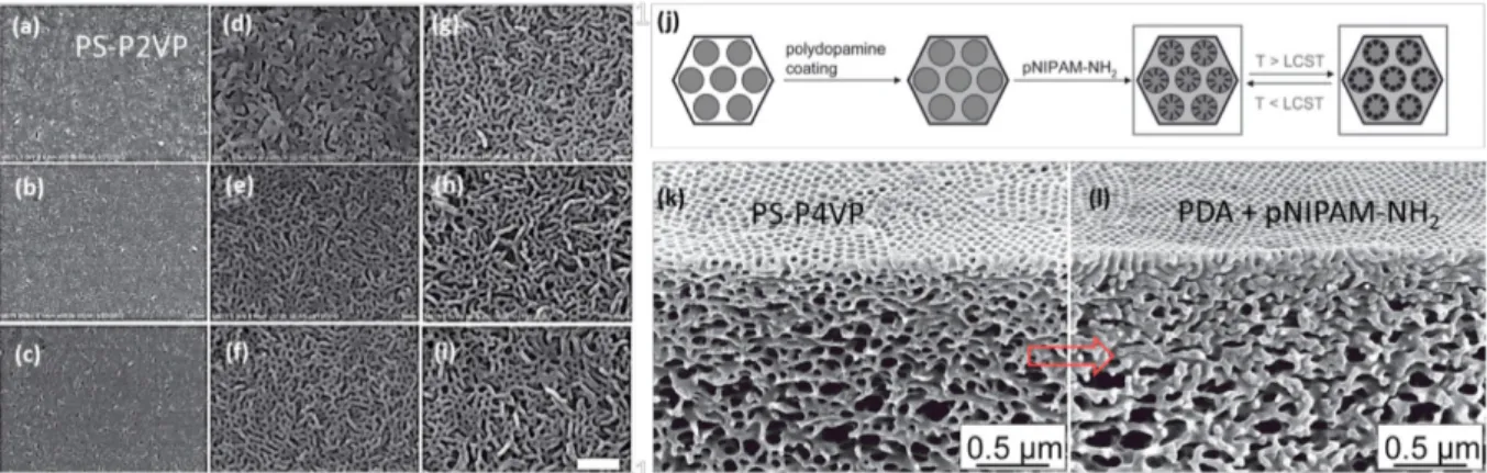 Figure 1.3.1.2 (a-i) SEM images of porous PS-P2VP membranes prepared at different swelling temperatures and  times