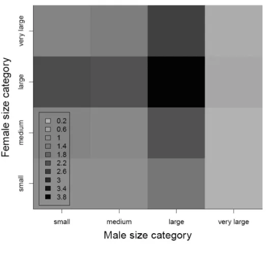 Figure 5. The integrated reproductive fitness measure (i.e., the expected number of hatched larvae) for  different female and male size combinations