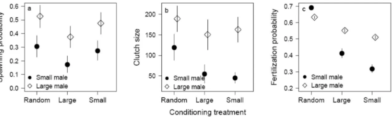 Figure 6. The a) average spawning probability, b) average clutch size per day, and c) average egg  fertilization probability among females from different conditioning treatments coupled with either  large or small males