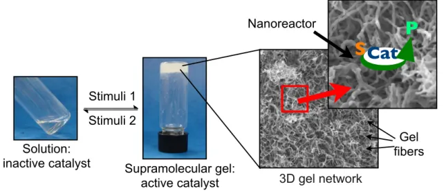 Figure 7: Potential use of gel materials as nanoreactors for selective synthetic transformations.